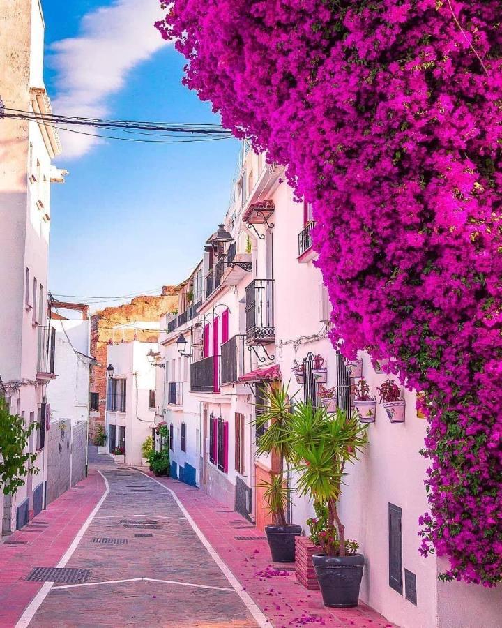 Suite Vitbanus Marbella Exterior foto